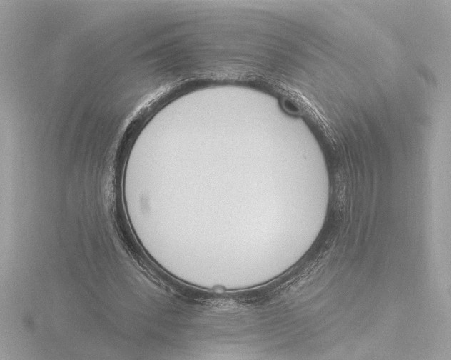 X0000116150392200912211513