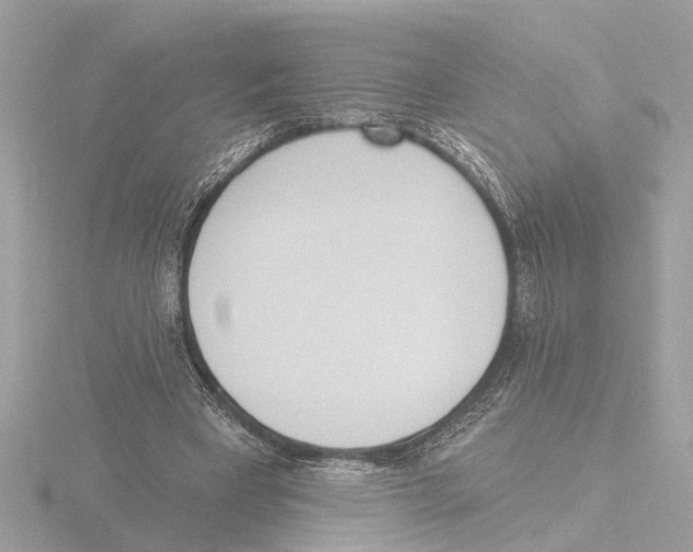 X0000116150393200912211513