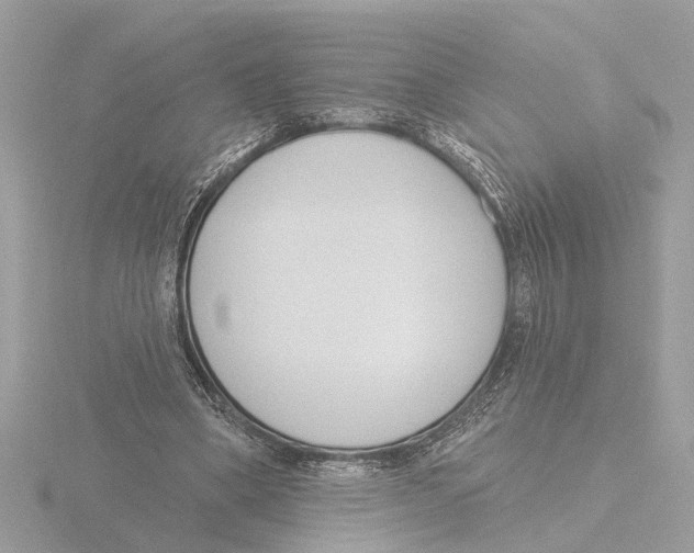 X0000116150394200912211513