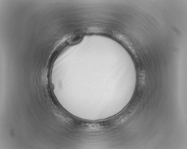 X0000116150395200912211513