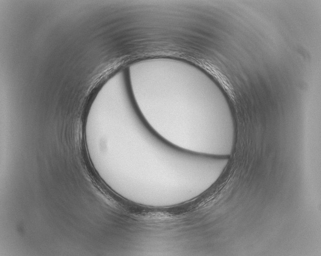 X0000116150397200912211513