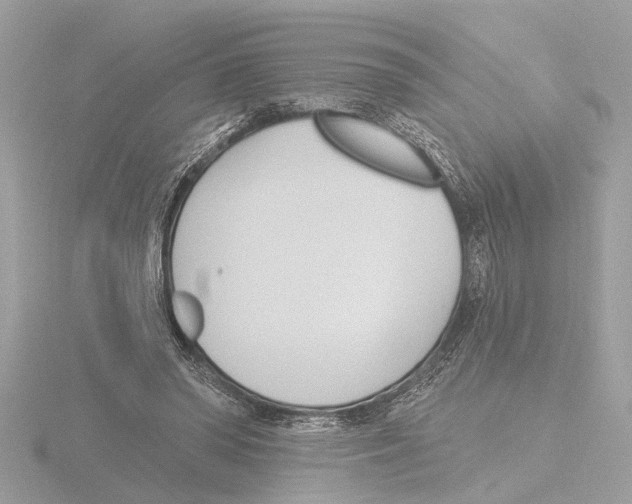 X0000116150398200912211513