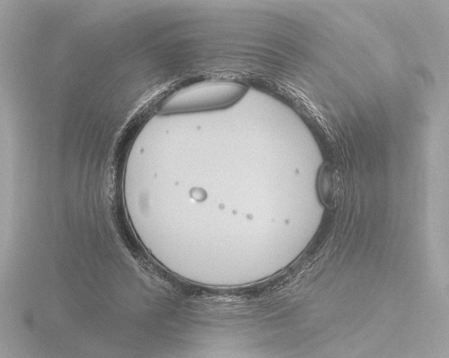 X0000116150400200912211513