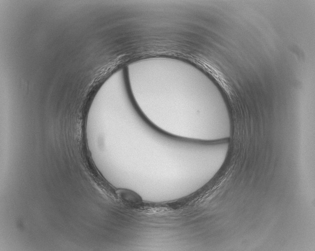 X0000116150401200912211513