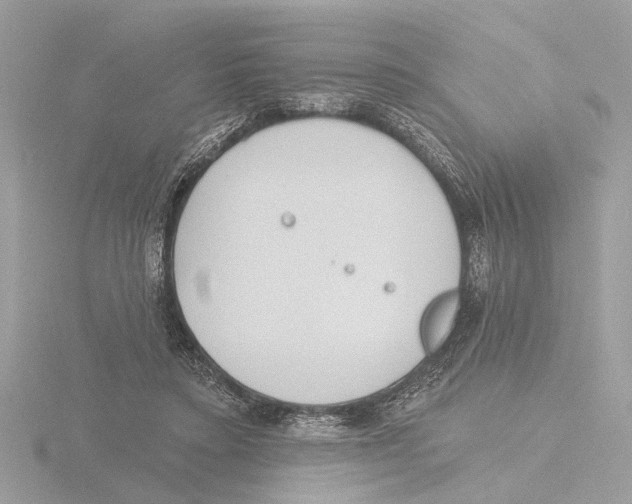 X0000116150403200912211513