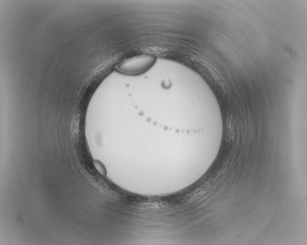 X0000116150404200912211513