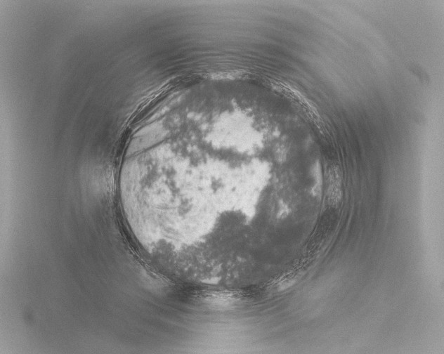 X0000116150405200912211513