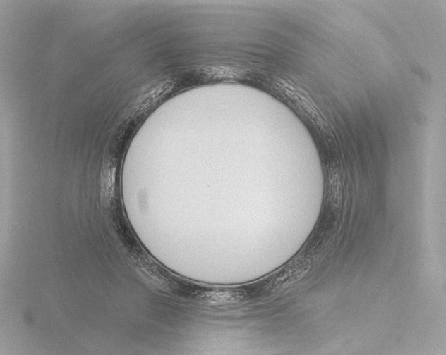 X0000116150406200912211512