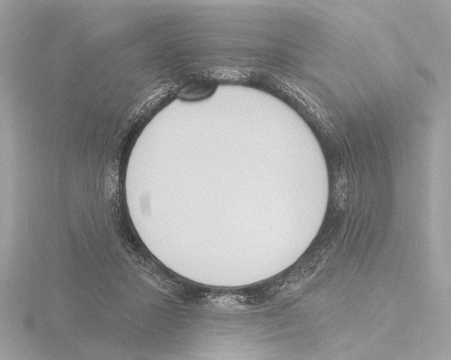 X0000116150407200912211512