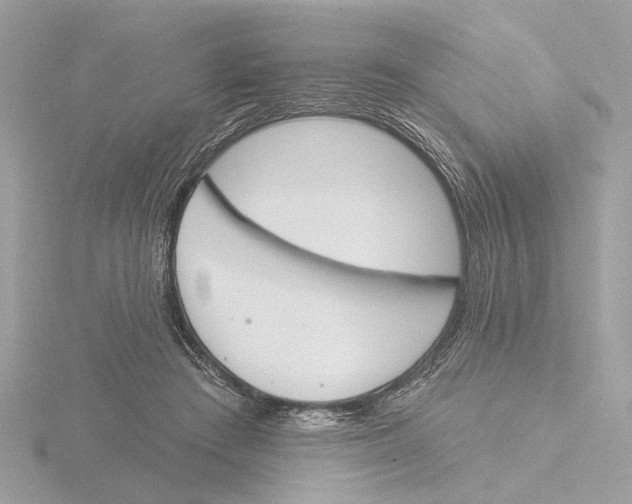 X0000116150409200912211512