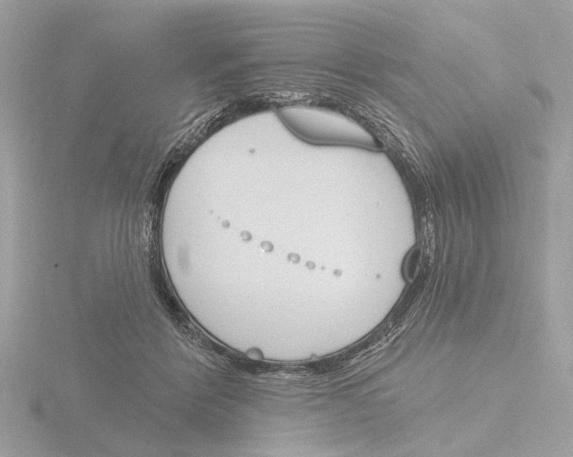 X0000116150412200912211512