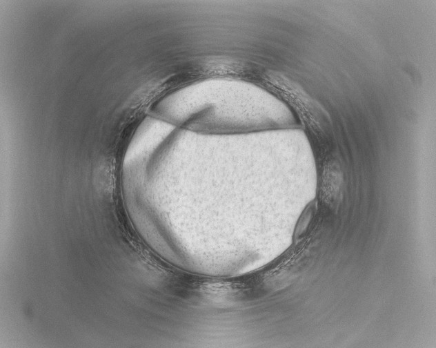 X0000116150413200912211512