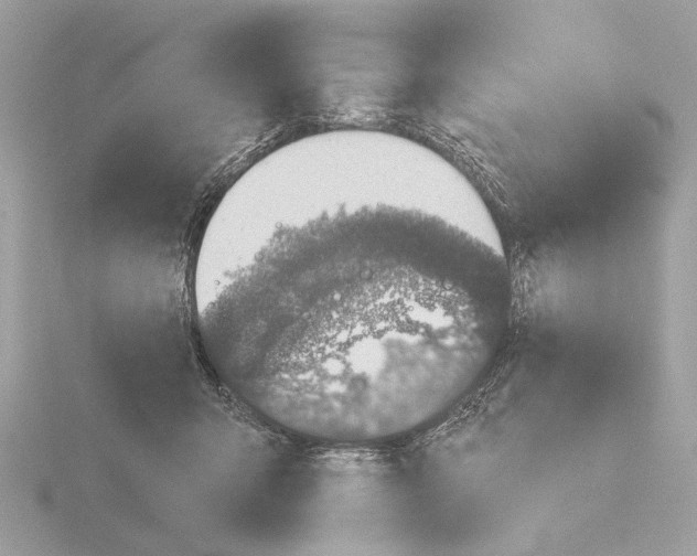 X0000116150415200912211512