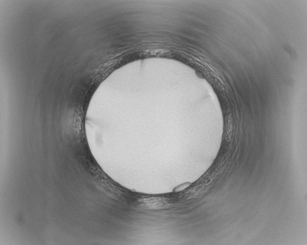 X0000116150417200912211512