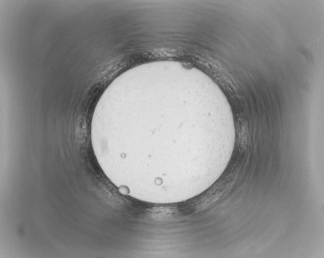 X0000116150418200912211512