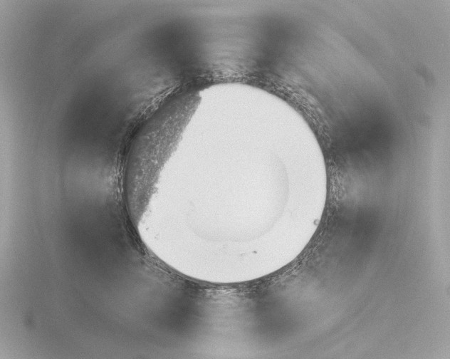 X0000116150419200912211512