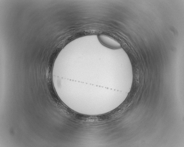 X0000116150420200912211512