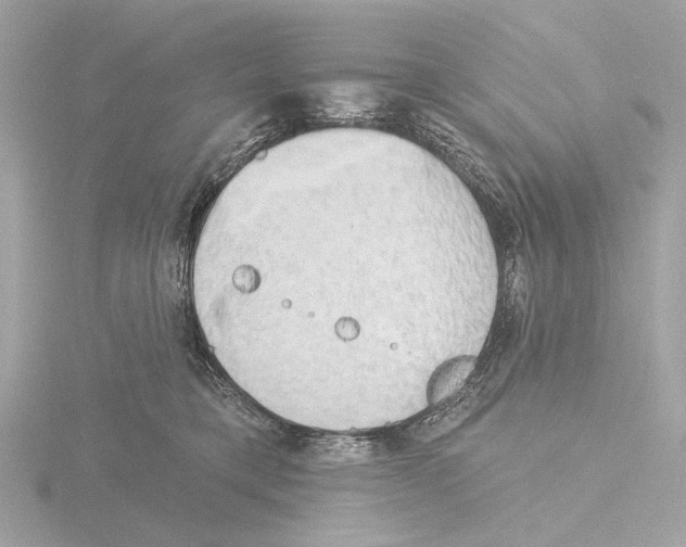 X0000116150421200912211512