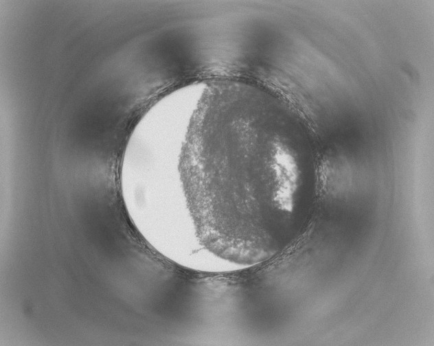 X0000116150423200912211512