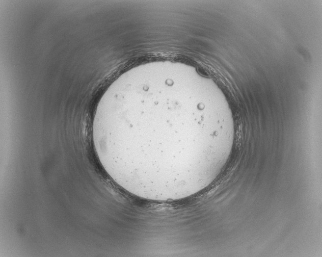 X0000116150424200912211512