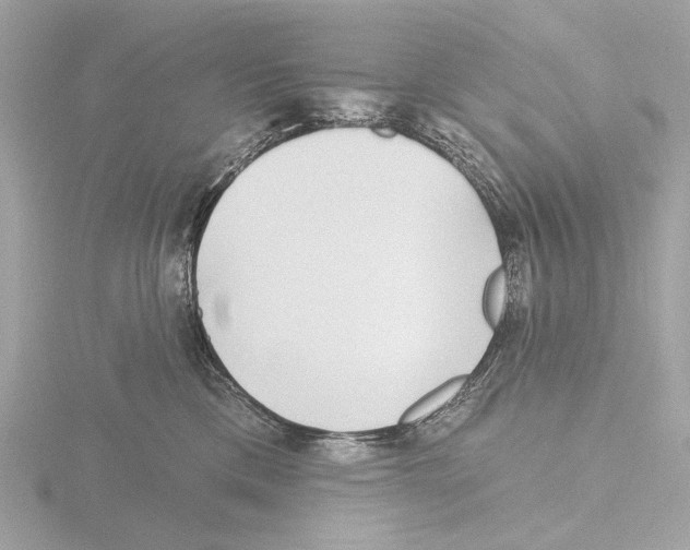 X0000116150425200912211512