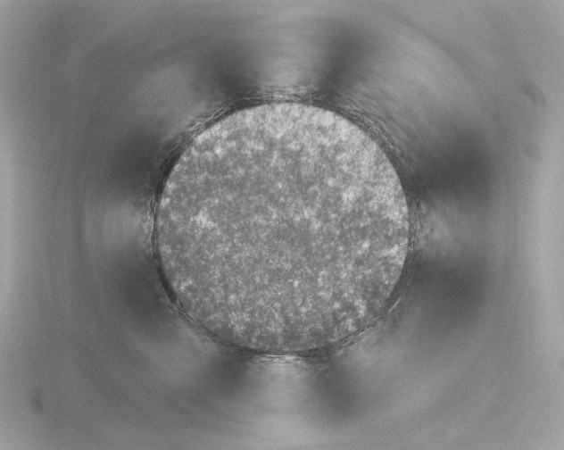 X0000116150427200912211512