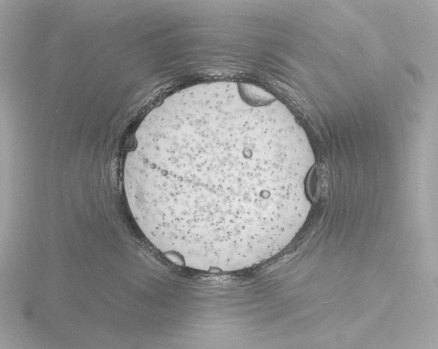 X0000116150428200912211512