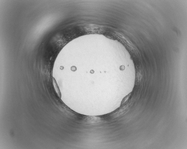 X0000116150429200912211512