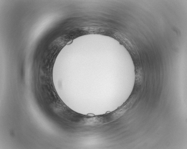 X0000116150430200912211512