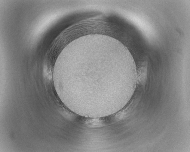 X0000116150431200912211512