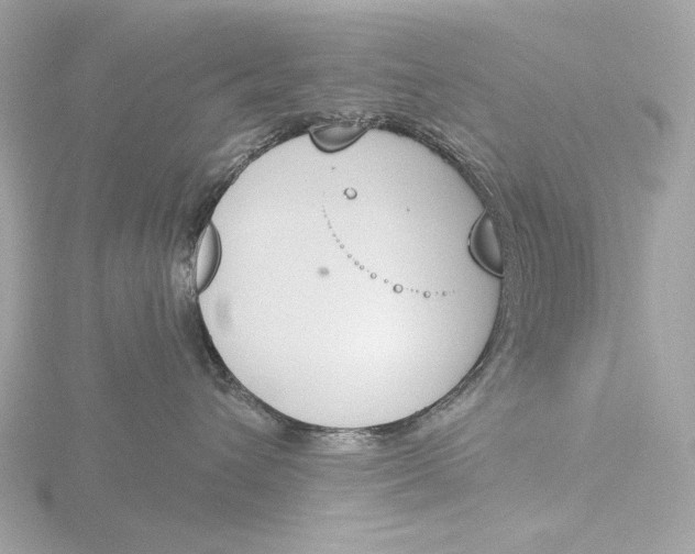 X0000116150432200912211512