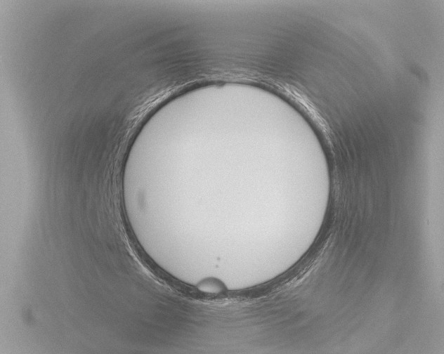 X0000116150433200912211512