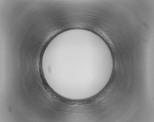 X0000116150434200912211512