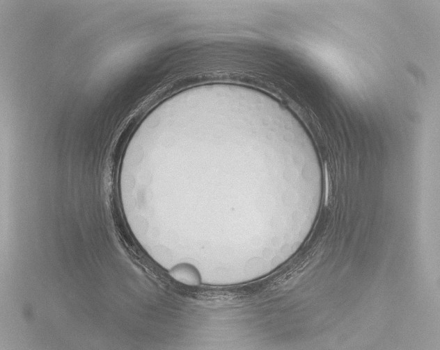 X0000116150435200912211512