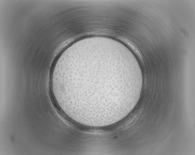 X0000116150437200912211512