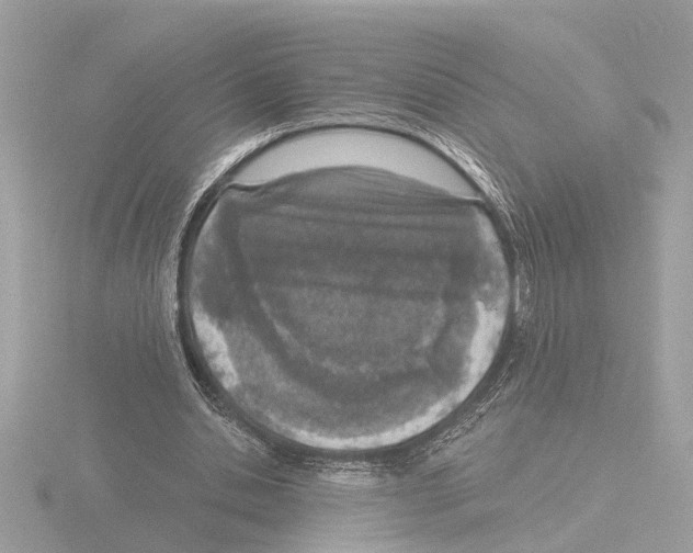 X0000116150438200912211512