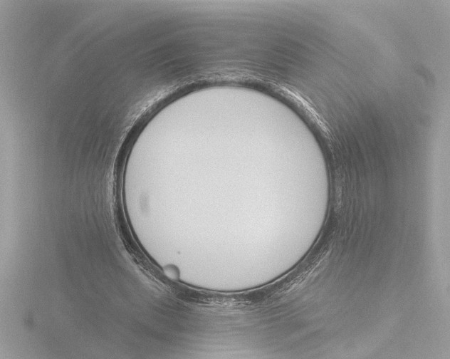 X0000116150439200912211512