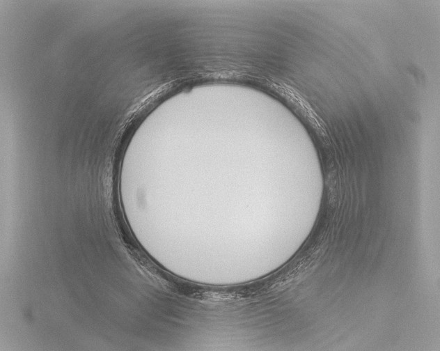 X0000116150442200912211512