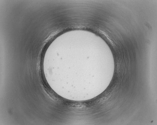 X0000116150443200912211512