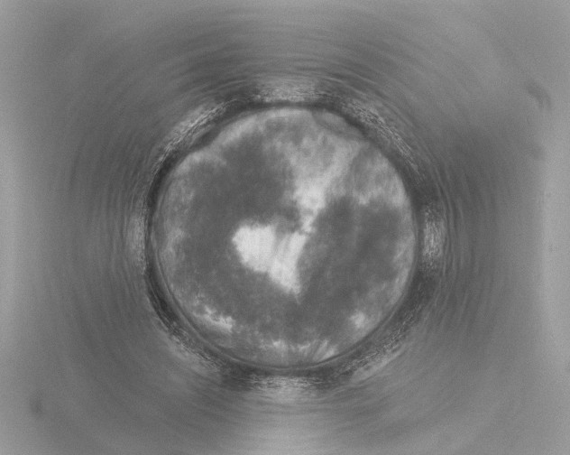 X0000116150444200912211512