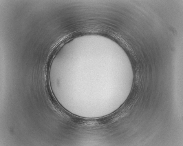 X0000116150446200912211512