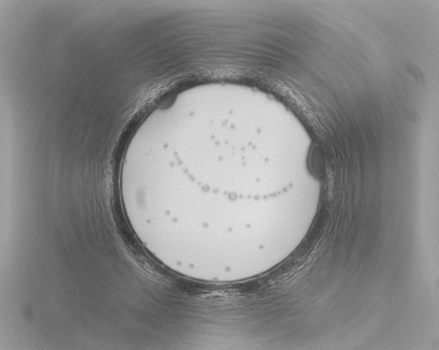 X0000116150447200912211512