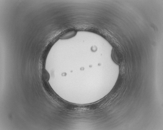 X0000116150448200912211512