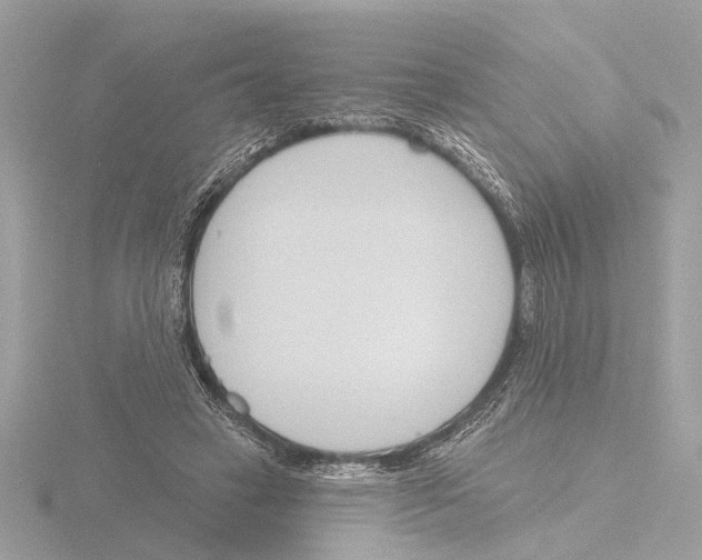 X0000116150449200912211512