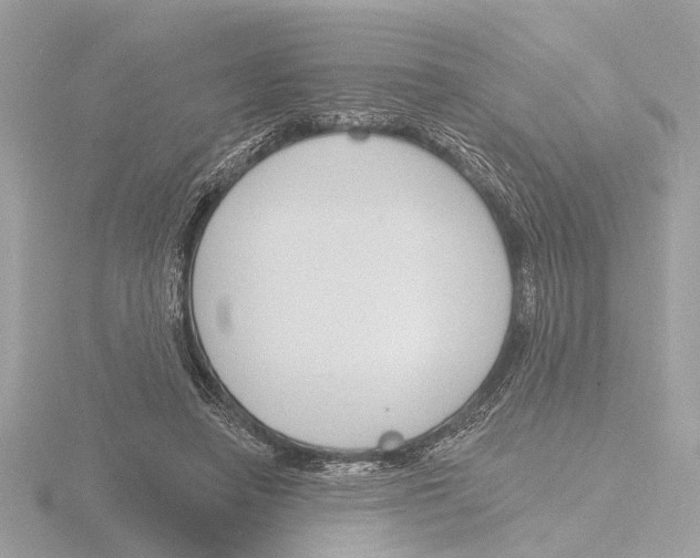 X0000116150450200912211512