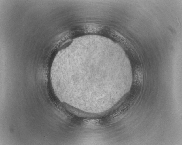 X0000116150452200912211512