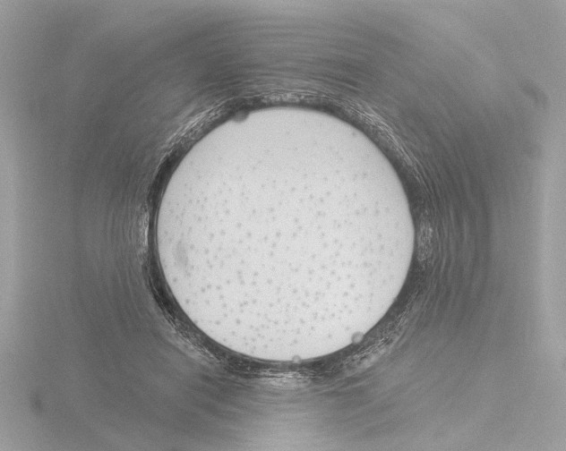 X0000116150454200912211512