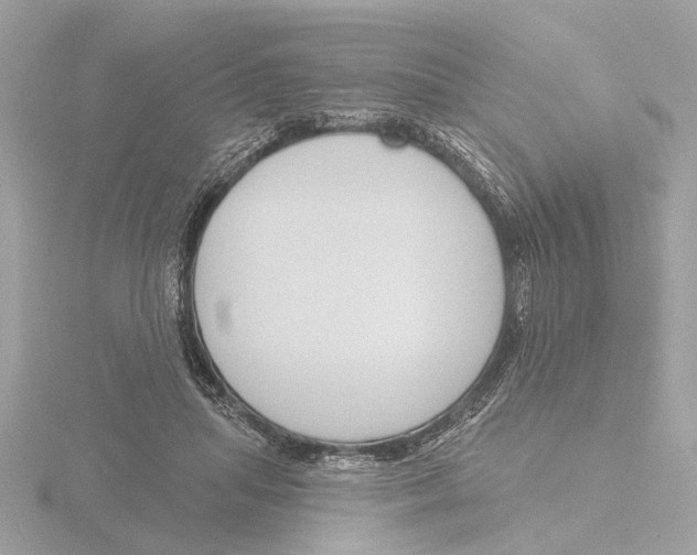 X0000116150455200912211512