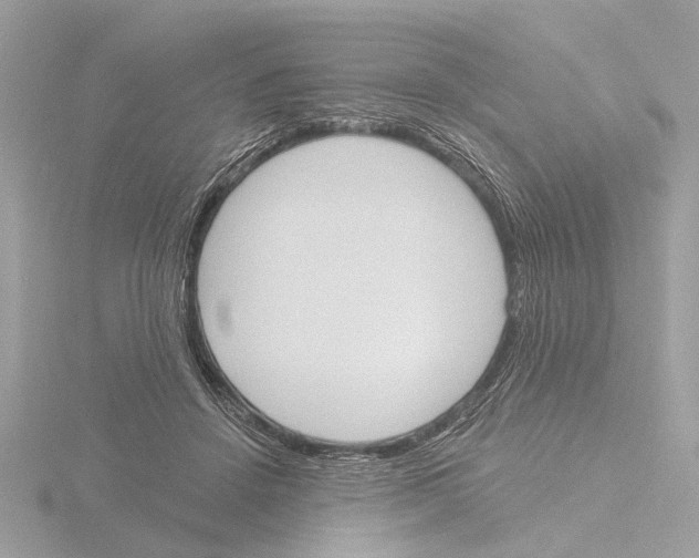 X0000116150456200912211512