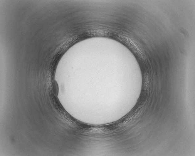 X0000116150457200912211512